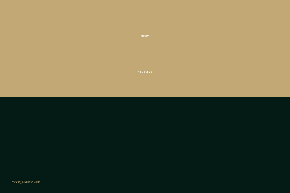 TICKET INGRESSO